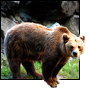 3D проекція